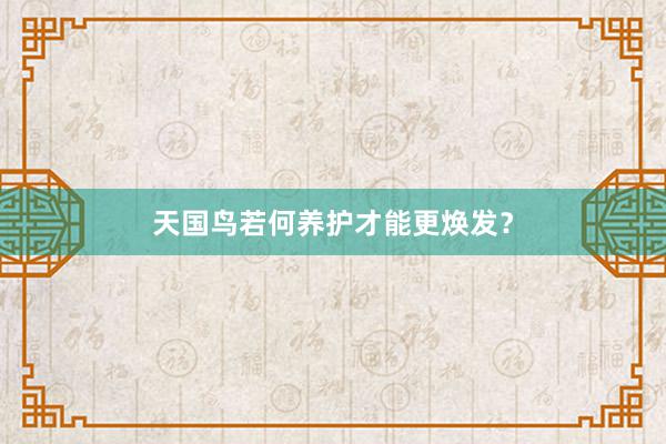 天国鸟若何养护才能更焕发？