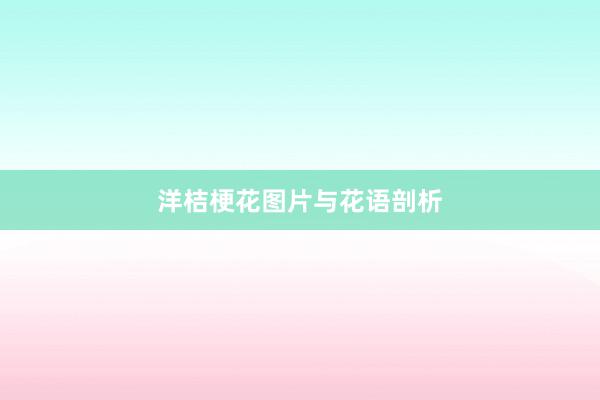 洋桔梗花图片与花语剖析
